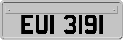 EUI3191