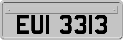 EUI3313