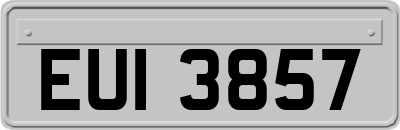 EUI3857