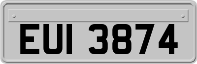 EUI3874