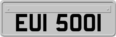 EUI5001