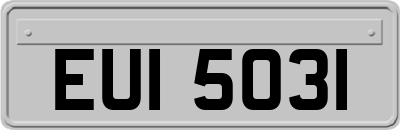 EUI5031