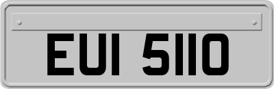 EUI5110
