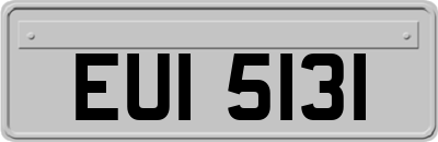 EUI5131