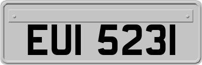 EUI5231