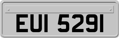 EUI5291