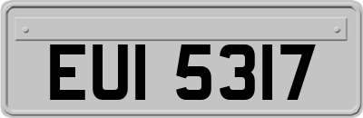 EUI5317
