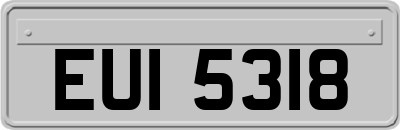 EUI5318