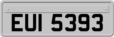 EUI5393