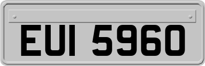 EUI5960