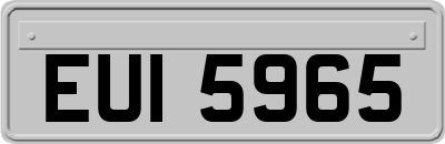 EUI5965