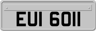 EUI6011