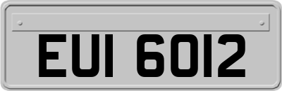 EUI6012