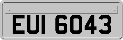 EUI6043