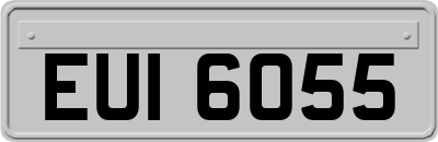 EUI6055