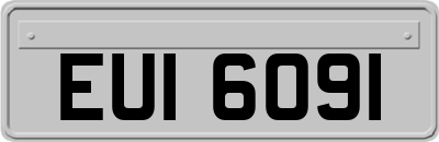 EUI6091