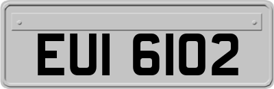 EUI6102