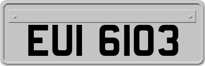 EUI6103