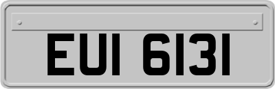 EUI6131