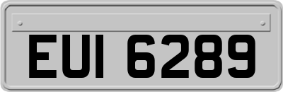 EUI6289