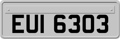 EUI6303