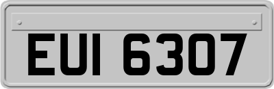 EUI6307