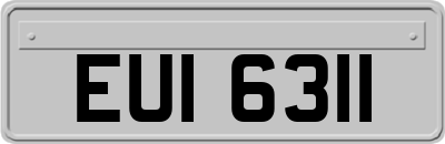 EUI6311
