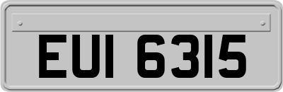 EUI6315