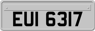 EUI6317