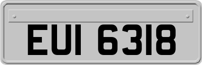 EUI6318