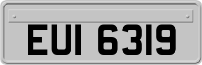 EUI6319