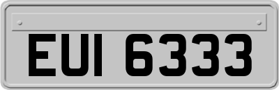 EUI6333