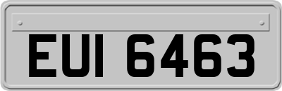 EUI6463