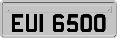 EUI6500