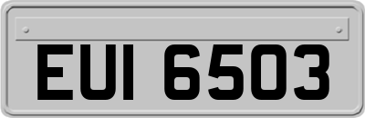 EUI6503