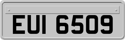 EUI6509