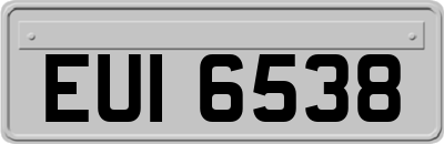 EUI6538
