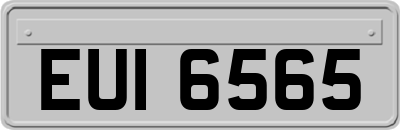 EUI6565