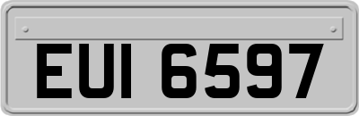 EUI6597