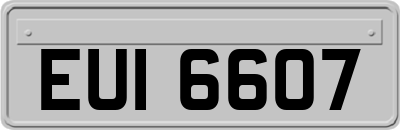 EUI6607