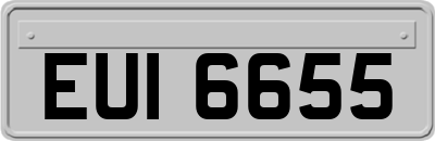 EUI6655