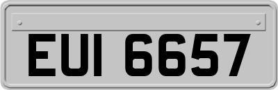 EUI6657