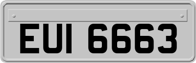 EUI6663