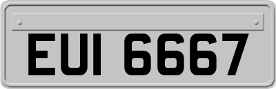 EUI6667