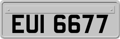 EUI6677