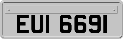 EUI6691