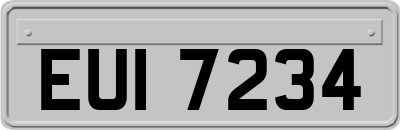 EUI7234