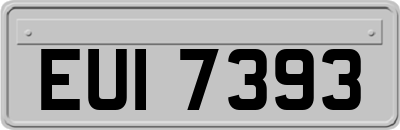 EUI7393