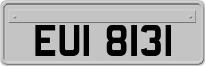 EUI8131