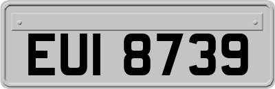 EUI8739